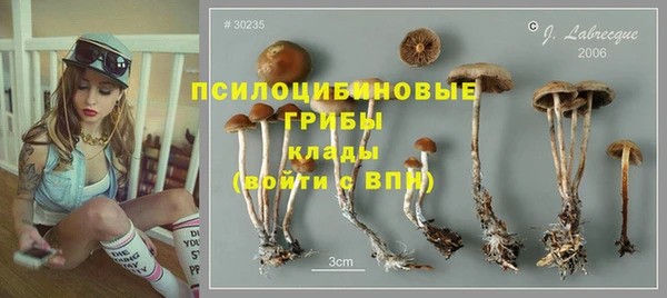 ALPHA PVP Новозыбков