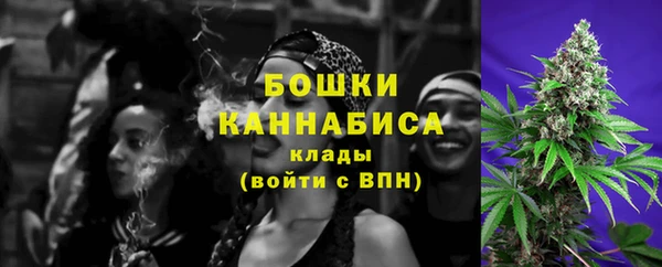 ALPHA PVP Новозыбков