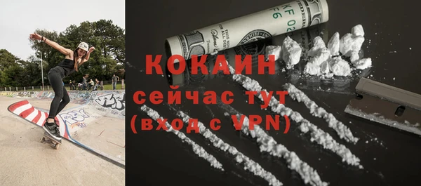 соль курить ск Новодвинск